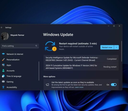 Windows 11 KB5046617 issues